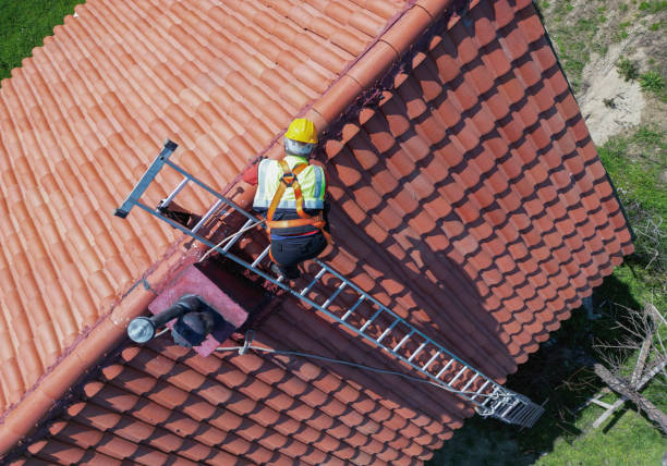 Best Flat Roofing  in Williamsburg, KY